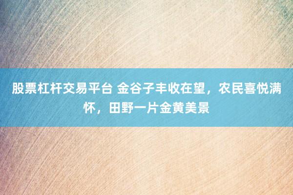 股票杠杆交易平台 金谷子丰收在望，农民喜悦满怀，田野一片金黄美景