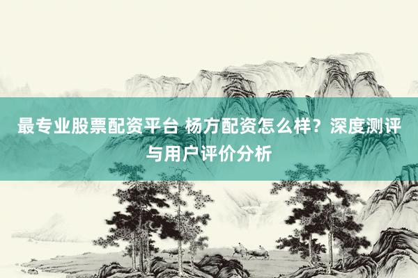 最专业股票配资平台 杨方配资怎么样？深度测评与用户评价分析