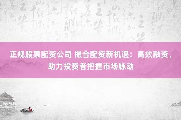 正规股票配资公司 撮合配资新机遇：高效融资，助力投资者把握市场脉动