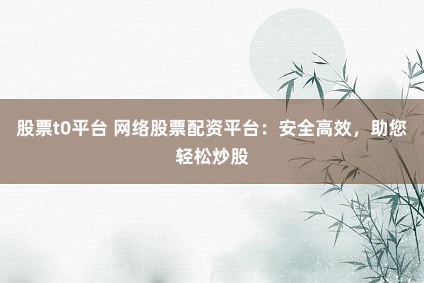 股票t0平台 网络股票配资平台：安全高效，助您轻松炒股
