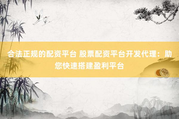 合法正规的配资平台 股票配资平台开发代理：助您快速搭建盈利平台
