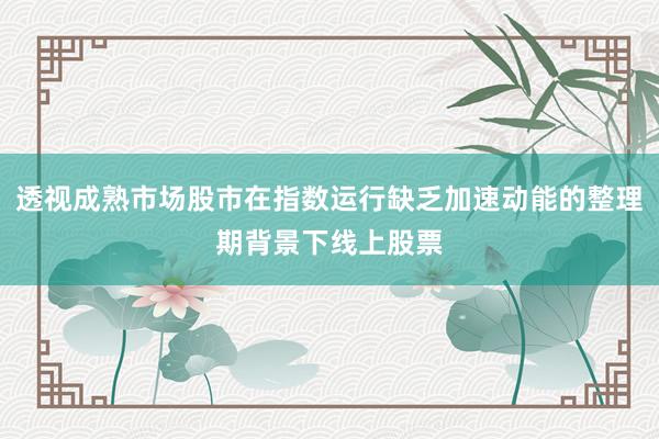 透视成熟市场股市在指数运行缺乏加速动能的整理期背景下线上股票