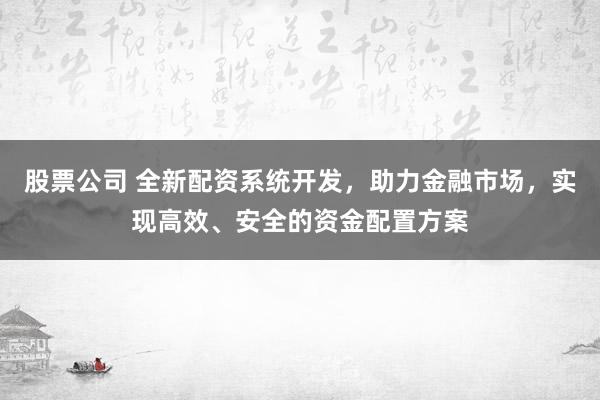 股票公司 全新配资系统开发，助力金融市场，实现高效、安全的资金配置方案