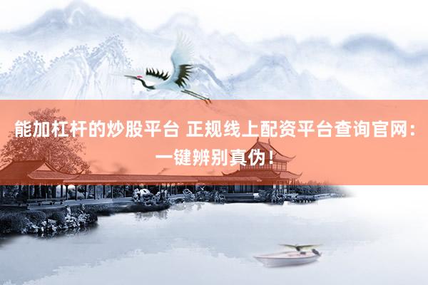 能加杠杆的炒股平台 正规线上配资平台查询官网：一键辨别真伪！