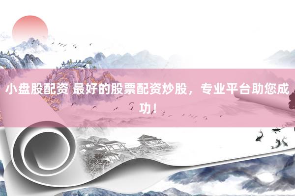 小盘股配资 最好的股票配资炒股，专业平台助您成功！